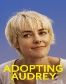 Adopting Audrey Free Download