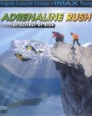 Adrenaline Rush: The Science of Risk Free Download