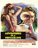 Adventures of a Private Eye Free Download