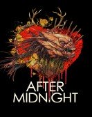 poster_after-midnight_tt8358220.jpg Free Download