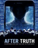 After Truth: Disinformation and the Cost of Fake News poster