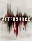 poster_aftershock_tt1780762.jpg Free Download