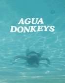 Agua Donkeys poster