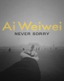 Ai Weiwei: Never Sorry poster