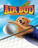 poster_air-bud-spikes-back_tt0337812.jpg Free Download