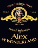 poster_alex-in-wonderland_tt10915930.jpg Free Download