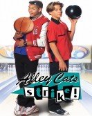 Alley Cats Strike poster