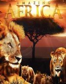 poster_amazing-africa_tt2266719.jpg Free Download