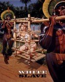 poster_amazonia-the-catherine-miles-story_tt0091902.jpg Free Download