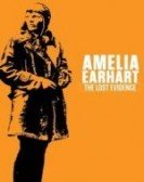 poster_amelia-earhart-the-lost-evidence_tt7177756.jpg Free Download