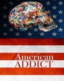 poster_american-add_tt2281095.jpg Free Download