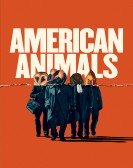 poster_american-animals_tt6212478.jpg Free Download