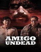 Amigo Undead poster