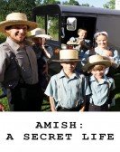 poster_amish-a-secret-life_tt2300710.jpg Free Download