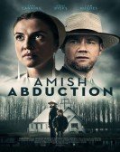 Amish Abduction poster