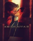 Amish Affair poster