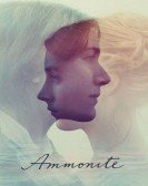 Ammonite Free Download