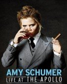 poster_amy-schumer-live-at-the-apollo_tt4909348.jpg Free Download