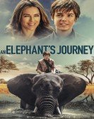 poster_an-elephants-journey_tt6849128.jpg Free Download