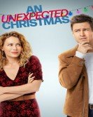 poster_an-unexpected-christmas_tt15766640.jpg Free Download