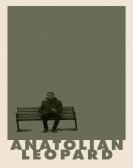 poster_anatolian-leopard_tt11426664.jpg Free Download