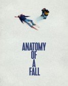 poster_anatomy-of-a-fall_tt17009710.jpg Free Download