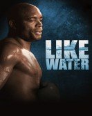 Anderson Silva: Like Water Free Download