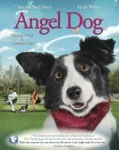 poster_angel-dog_tt1711456.jpg Free Download