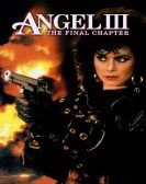 Angel III: The Final Chapter (1988) Free Download