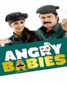 Angry Babies in Love Free Download