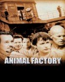 Animal Factory (2000) poster