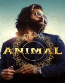 Animal Free Download