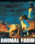 Animals Free Download