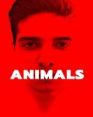 Animals poster