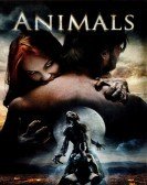 Animals poster