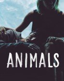 Animals Free Download