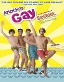 Another Gay Sequel: Gays Gone Wild! Free Download