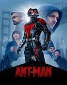 Ant-Man (2015) Free Download