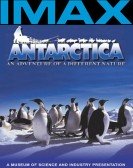 Antarctica: An Adventure of a Different Nature Free Download