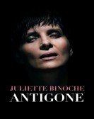 poster_antigone-at-the-barbican_tt4653314.jpg Free Download