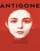 poster_antigone_tt10260042.jpg Free Download