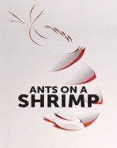 poster_ants-on-a-shrimp_tt4668860.jpg Free Download