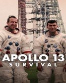 Apollo 13: Survival Free Download