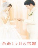 April Bride poster