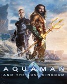 Aquaman and the Lost Kingdom Free Download