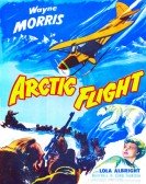 Arctic Flight Free Download