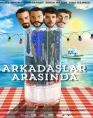 poster_arkadaslar-arasnda_tt3145464.jpg Free Download