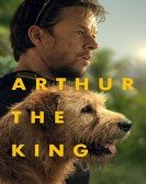 poster_arthur-the-king_tt10720352.jpg Free Download