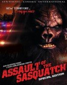 Assault of t poster