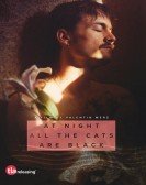 At Night All the Cats Are Black Free Download